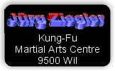 Kungfu-Schule